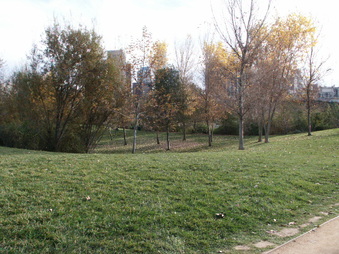 Enlarge photo 44