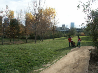 Enlarge photo 46