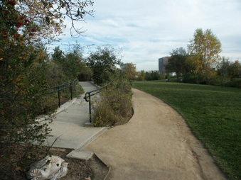 Enlarge photo 49