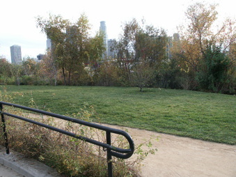 Enlarge photo 51