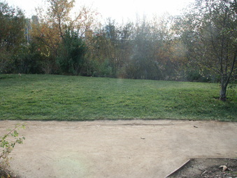 Enlarge photo 52