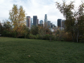 Enlarge photo 54