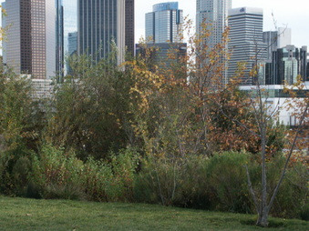 Enlarge photo 55