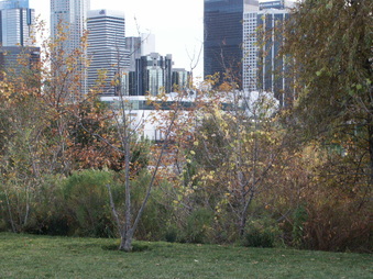 Enlarge photo 53