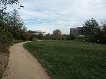 Enlarge photo 57