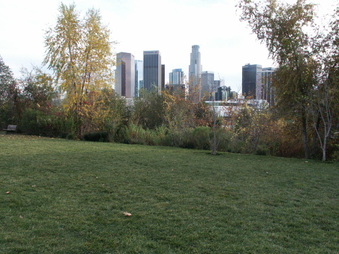 Enlarge photo 56