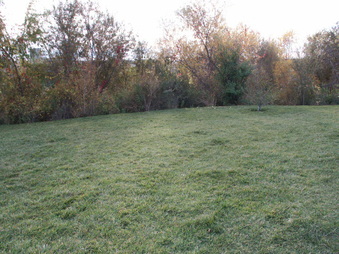 Enlarge photo 59