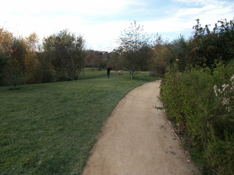 Enlarge photo 60