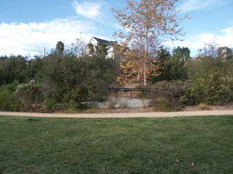 Enlarge photo 62