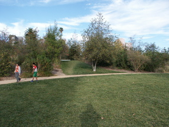 Enlarge photo 61
