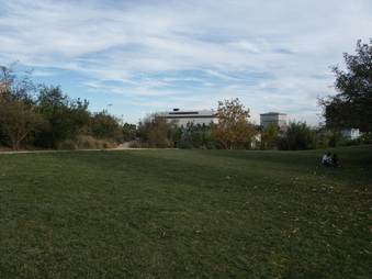 Enlarge photo 64