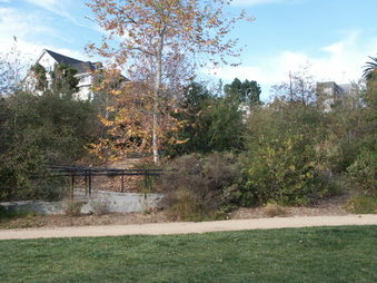Enlarge photo 67