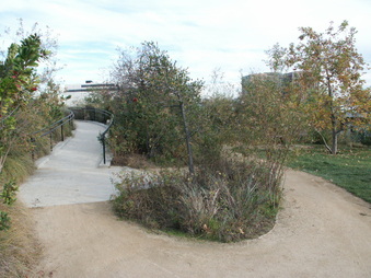 Enlarge photo 66