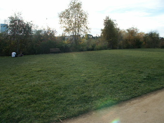 Enlarge photo 65