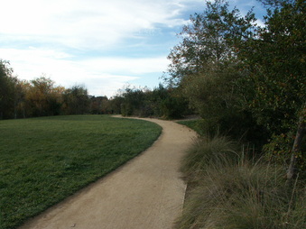Enlarge photo 68