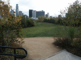 Enlarge photo 71