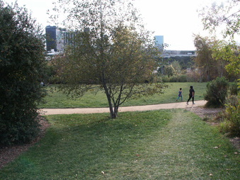 Enlarge photo 76