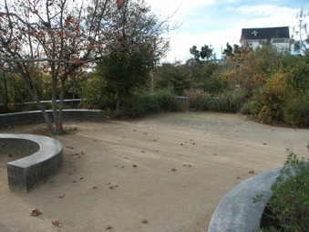 Enlarge photo 79