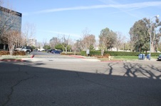 Califa St