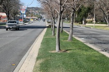 Enlarge photo 52