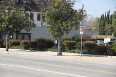 Enlarge photo 18