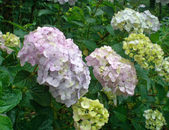 Enlarge photo 19