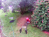 Enlarge photo 1
