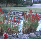 Enlarge photo 26