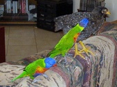 Enlarge photo 12