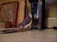 Enlarge WMV 8