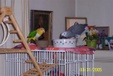 Enlarge photo 38