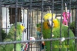 Enlarge photo 10