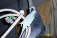 Enlarge photo 29