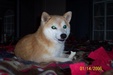 Enlarge photo 1