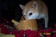 Enlarge photo 2