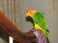 Enlarge photo 55