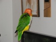 Enlarge photo 57