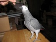 Enlarge photo 23