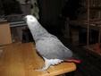 Enlarge photo 24