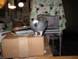 Enlarge photo 26