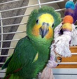 Enlarge photo 11