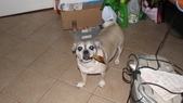 Enlarge photo 10