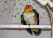 Enlarge photo 4