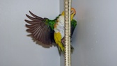 Enlarge photo 6