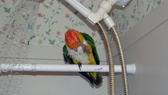 Enlarge photo 9