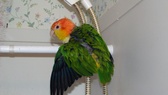 Enlarge photo 11