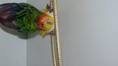 Enlarge photo 14