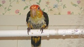 Enlarge photo 16