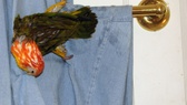 Enlarge photo 18