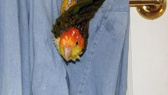 Enlarge photo 19